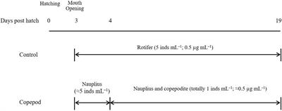 DHA Accumulation in the Polar Lipids of the Euryhaline Copepod Pseudodiaptomus inopinus and Its Transfer to Red Sea Bream Pagrus major Larvae